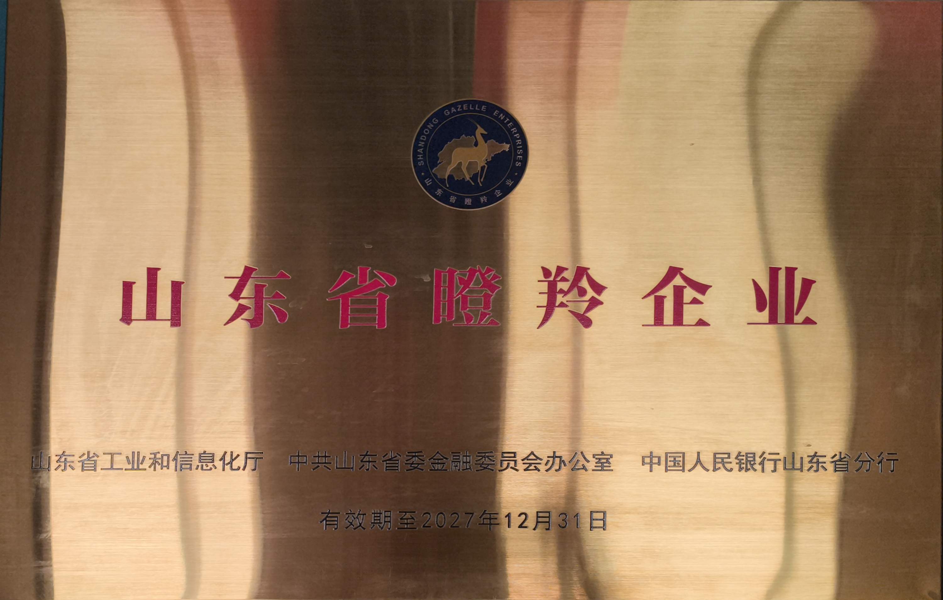 瞪羚企业